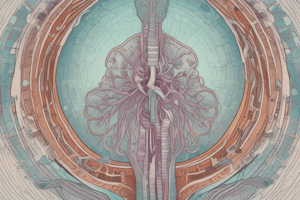 Microbiology and Respiratory Disorders Assessment