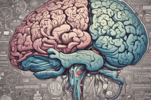 Diencephalon Structure and Functions