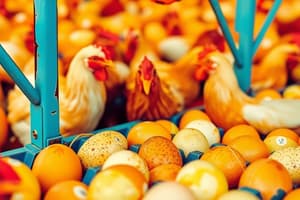 Poultry Farming: Egg Production and Management