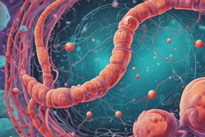 Microbiology and Disease Transmission