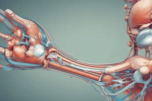 Dislocation: Joint Displacement