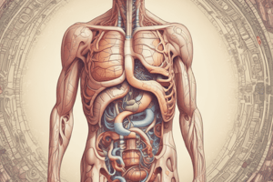 Digestive Tract: Introduction