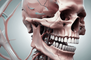 Dental Anatomy Lecture 3