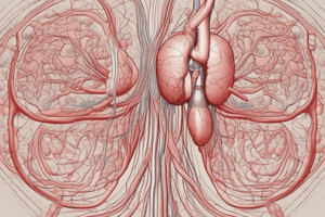 Circulation and Respiration