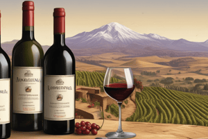 Historia del Vino en Chile