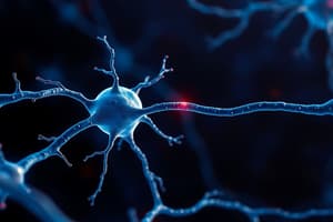 Neuroscience Chapter on Membrane Potential