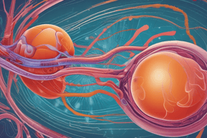 Renal Physiology Quiz