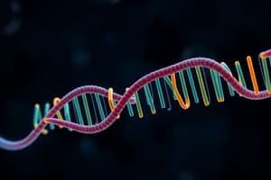 BLOCK 3: MBG: (3.6) RNA Processing & The Spliceosome