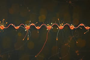 Biochimie : Chaîne de Transport des Électrons