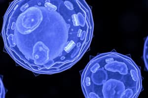 Cell Cycle Quiz: Interphase and Mitosis