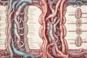 Gastrointestinal Tract Functions Quiz