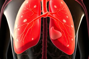 Human Biology Quiz: Lymphatic & Respiratory Systems