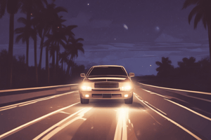 Night Driving Safety in Florida Law Quiz