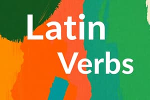 Latin Vocabulary and Verbs