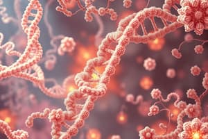 Protein Synthesis Overview