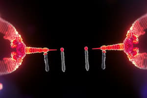 Metaphase Chromosomes Characteristics