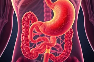 Gastrointestinal System Overview