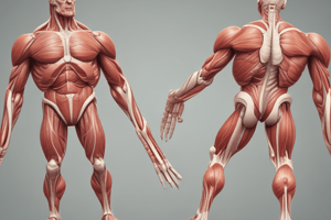 Comprehensive Anatomy practice test