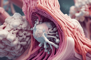 Chondrogenesis and Perichondrium in Cartilage Tissue