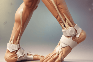 High Ankle Sprain Overview