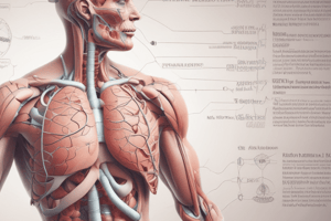 Respiratory System Overview