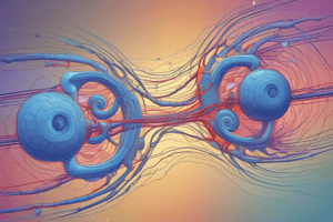 Neurophysiology Lecture Quiz: Excitability and Ion Channels