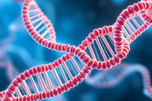 Transcription and RNA Splicing Mechanisms