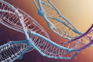 T.11 Promotores para la RNA Pol II