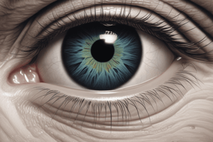 Pupillary and Eyelid Abnormalities Quiz