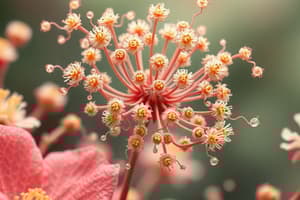 Microsporogenesis in Seed Plants