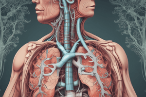 chapter 41. quiz 5. respiratory mechanics