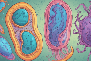 Procariotas vs Eucariotas: Cell Structure