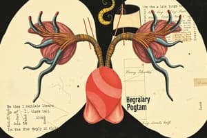 Endocrine System Quiz