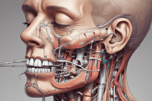 Tracheobronchial Tree Injuries Management