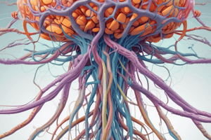 Cellular Physiology of the Nervous System Module 1