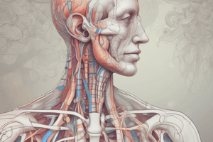 Human Respiratory System Overview