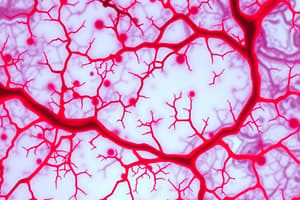 Thrombotic Microangiopathies Overview