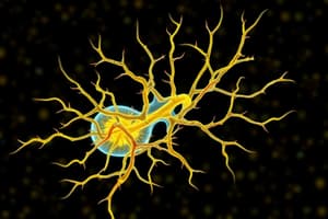 Histiogénesis y Desarrollo Neural