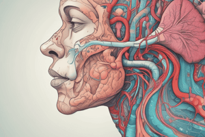 Gr 9 NATURAL SCIENCES: CH 1.2 The respiratory system