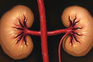 Kidney Albumin Reabsorption