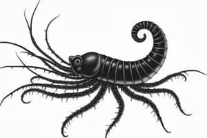 Invertebrate Animals: BIOL 202, Chapter 33