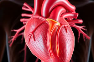 4: Cardiac Excitation-Contraction Coupling