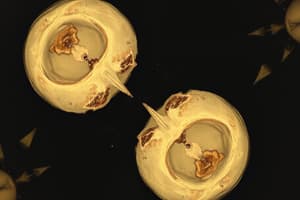 Cell Cycle and Mitosis Overview