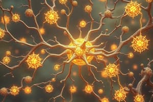 Neurotransmitery v neuropsychologii