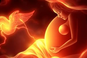 Placenta Previa: Types & Risk Factors