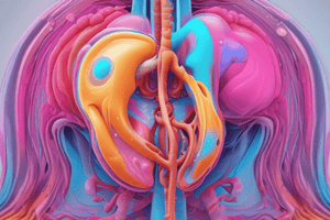 Urinary Imaging Techniques Quiz