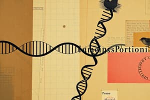 Double Stranded DNA Orientation Forward and Reverse Orientation (Exam 2)