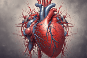 Cardiac Physiology Quiz