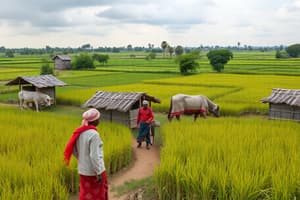 Economías Periféricas y Capitalismo Agrario