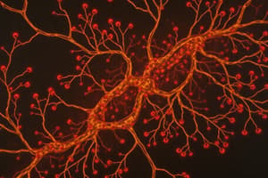 Neurotransmisores y Farmacología Sináptica